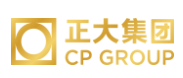 云安正大集团